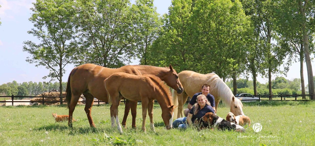 De Broekse Hoeve