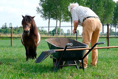 De Broekse Hoeve