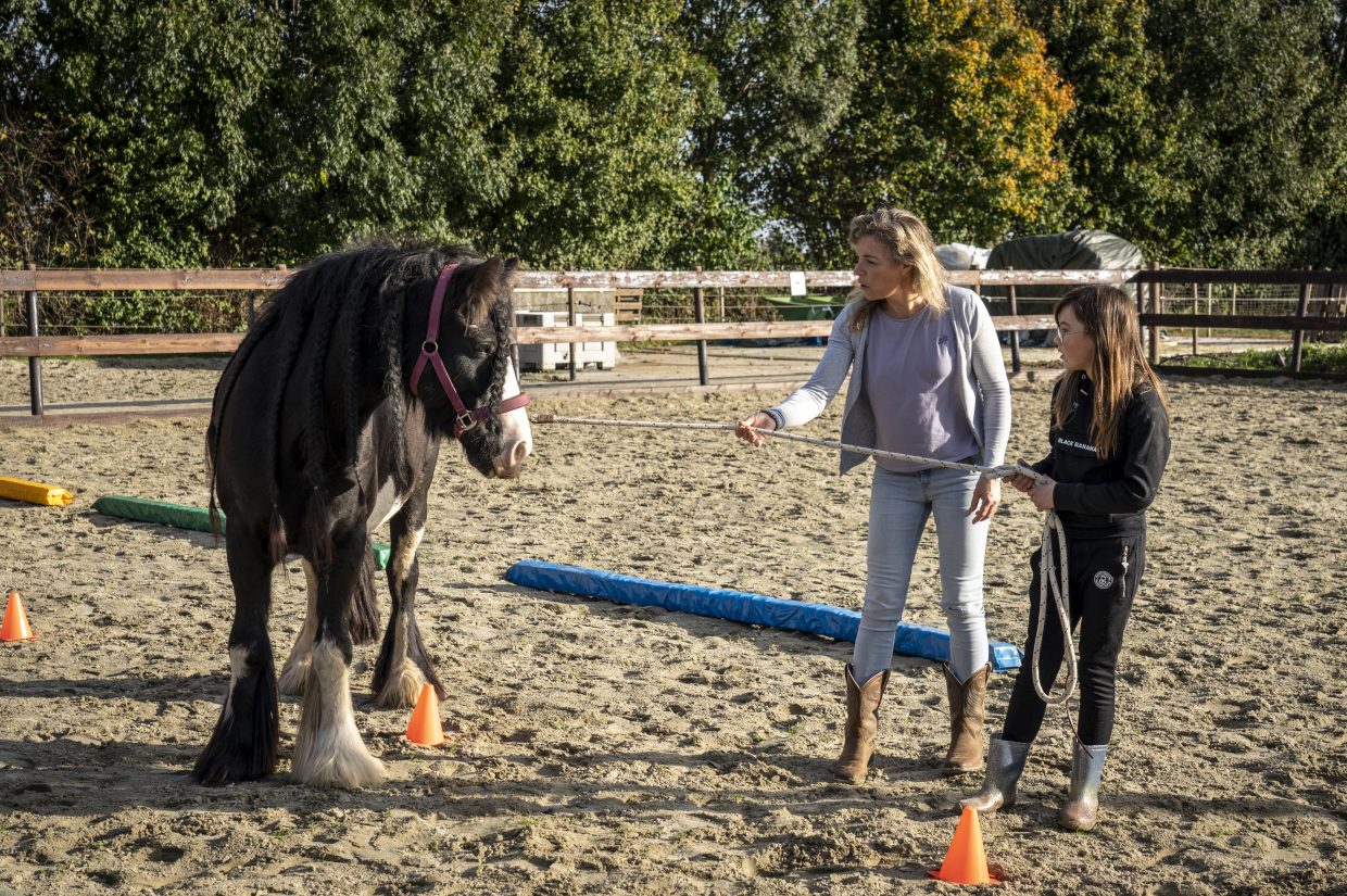 Hoe Equus & Ego niet alleen kinderen, maar hele gezinnen helpt