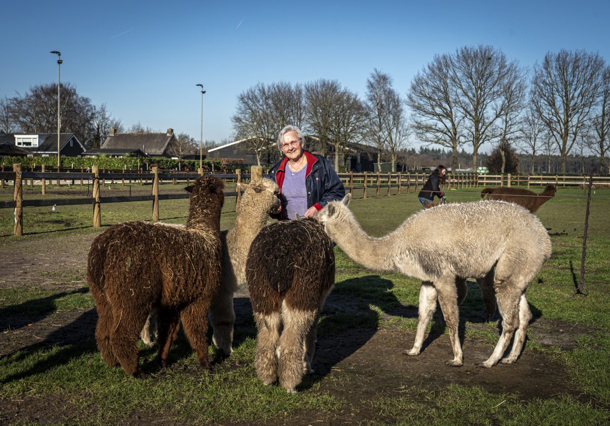 “Sinds ik dagbesteding heb op de zorgboerderij, gaat het weer beter met mij”