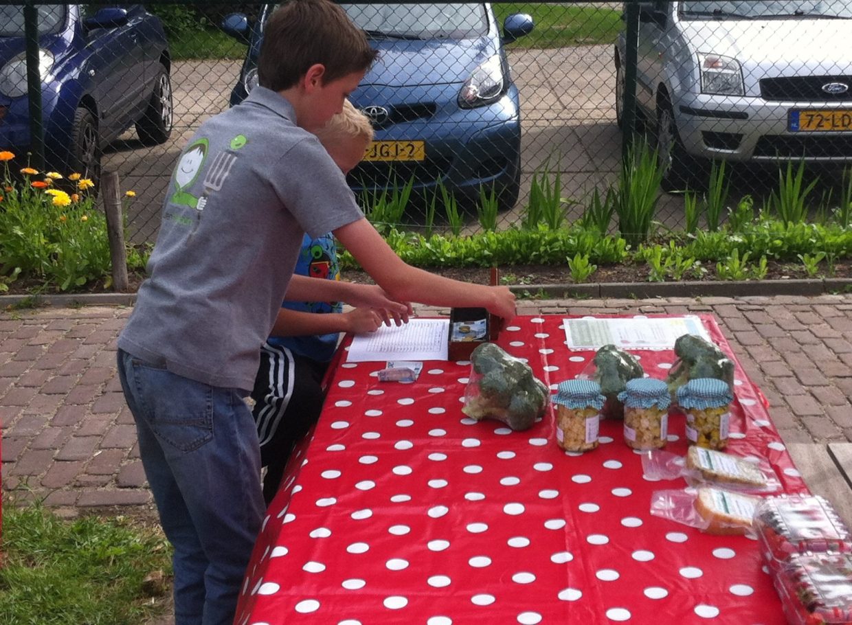 Aardbeien en broccoli verkopen op de boerderij