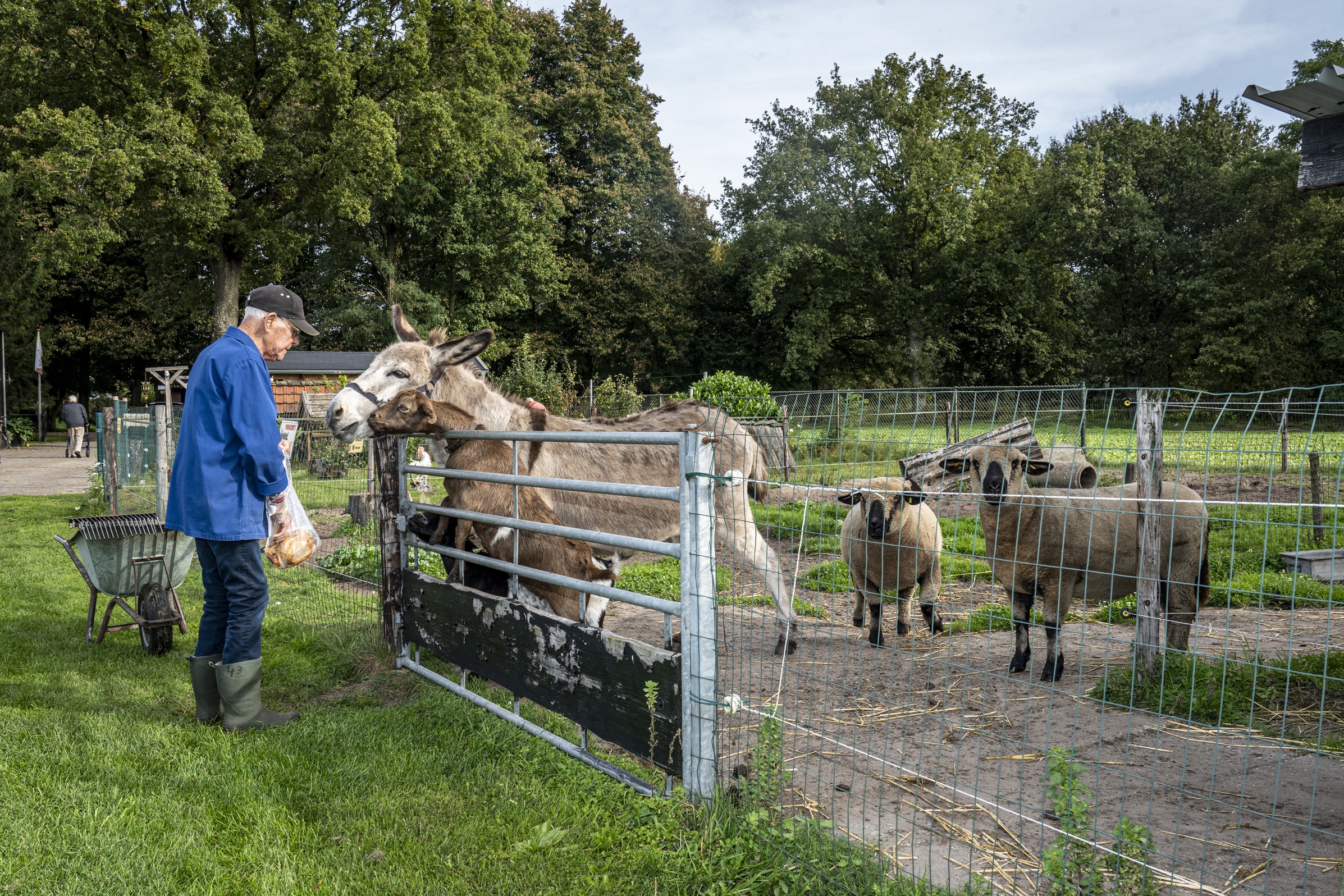 Vacature bestuursassistent (32-36 uur)