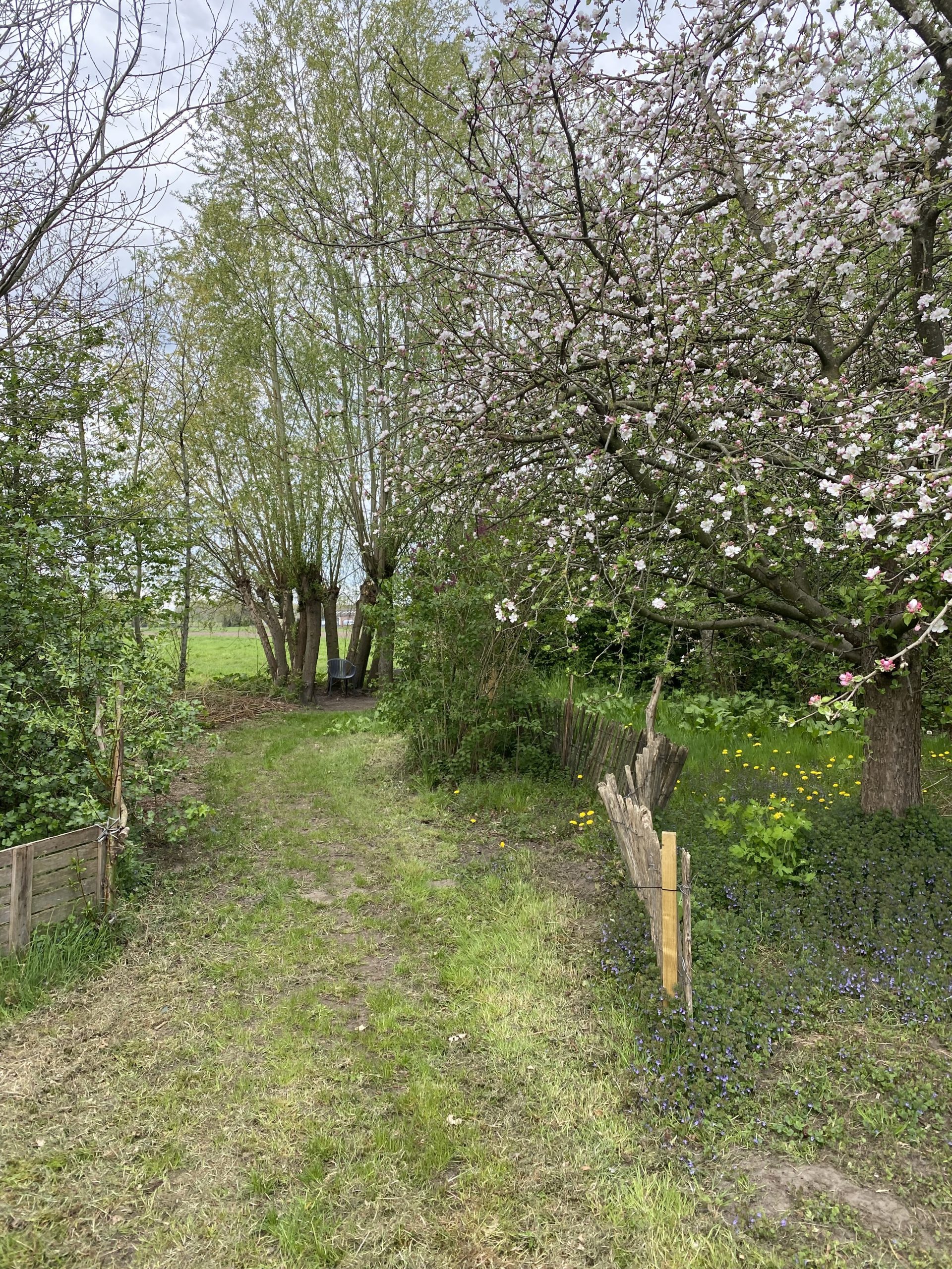 “Door de gesprekken ontdekten we dat sommige cliënten zich pas echt thuis voelen als ze buiten zijn”